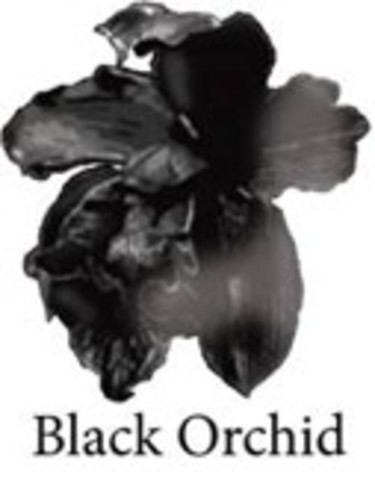 Black Orchid Jeans @ Spoiledbrat